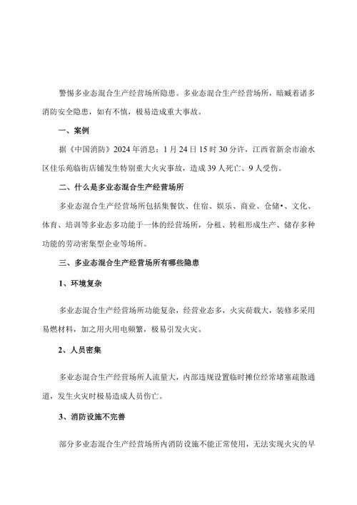 多业态混合生产经营场所安全指南（2024年）.docx