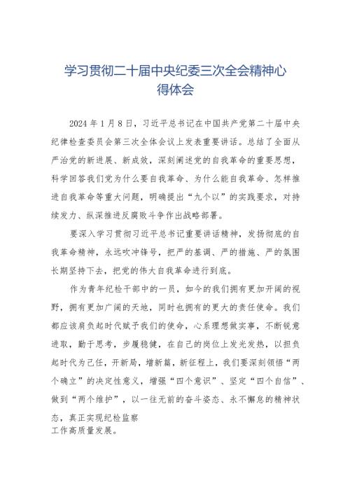 二十中央纪委三次全会心得体会(25篇).docx