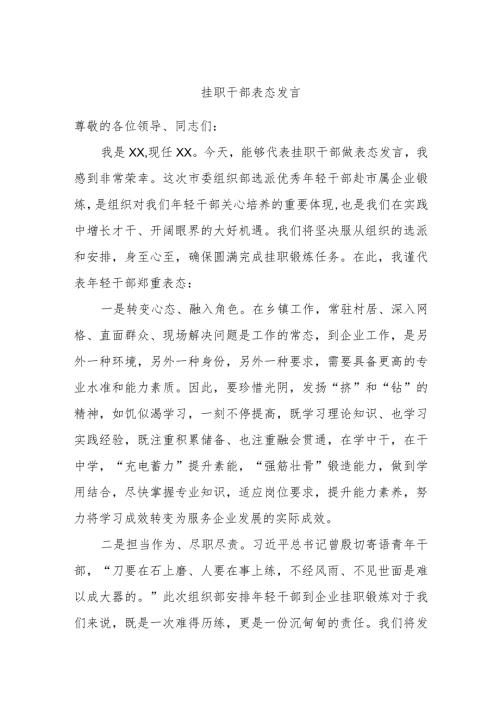挂职干部表态发言(1).docx