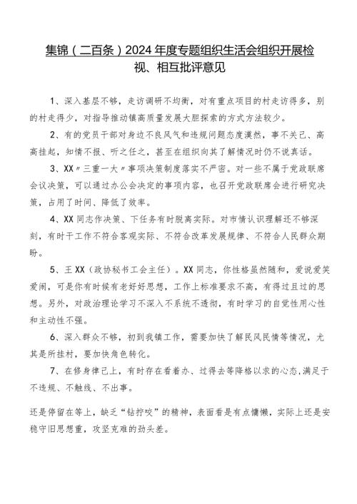 集锦（二百条）2024专题组织生活会组织开展检视、相互批评意见.docx