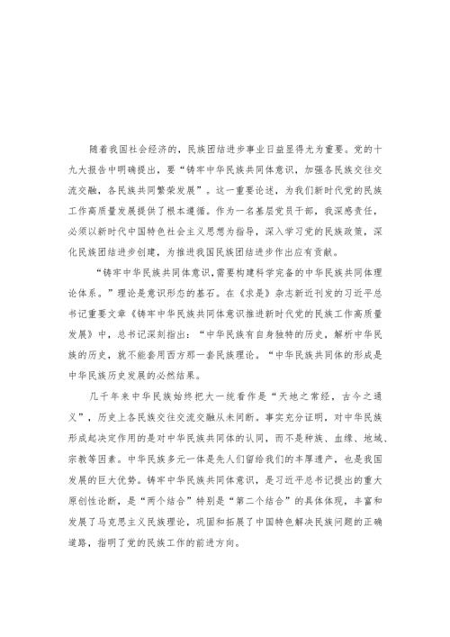 （2篇）2024年学习《铸牢中华民族共同体意识 推进新时代党的民族工作高质量发展》心得体会.docx