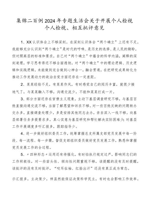 集锦二百例2024年专题生活会关于开展个人检视个人检视、相互批评意见.docx