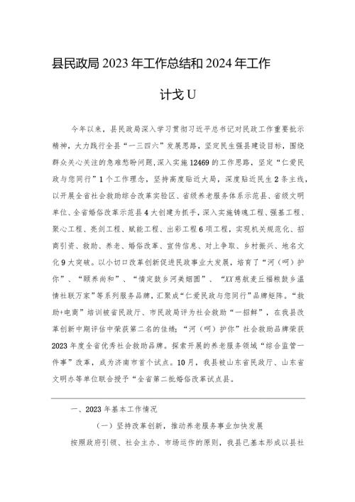 县民政局2023年工作总结和2024年工作计划（20240130）.docx