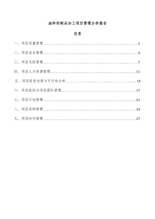 油炸肉制品加工项目管理分析报告.docx
