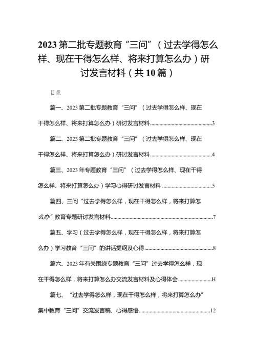 第二批专题教育“三问”（过去学得怎么样、现在干得怎么样、将来打算怎么办）研讨发言材料10篇(最新精选).docx