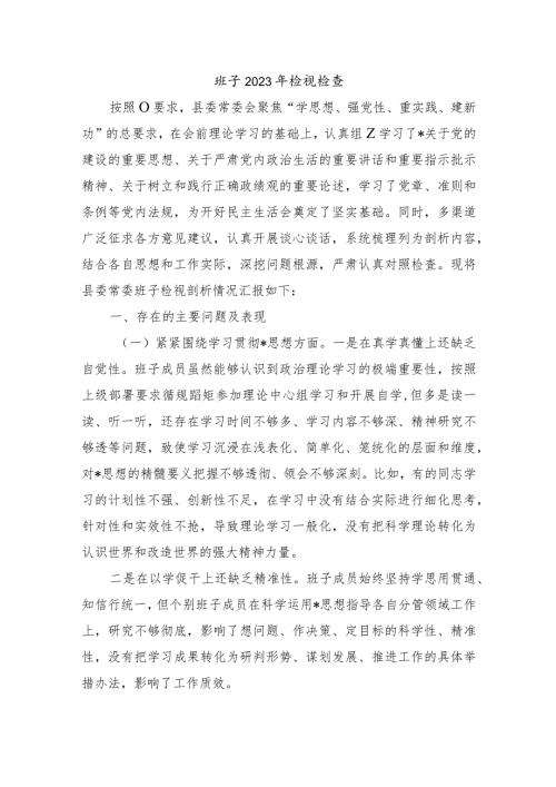 班子2023年检视检查.docx