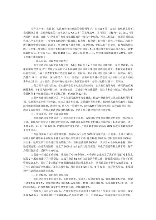 2024国土局工作总结.docx