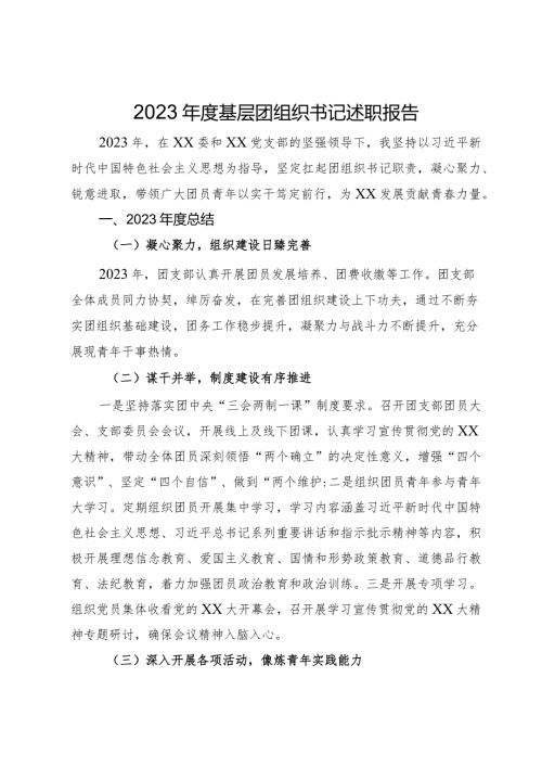 2023基层团组织书记述职报告(1).docx