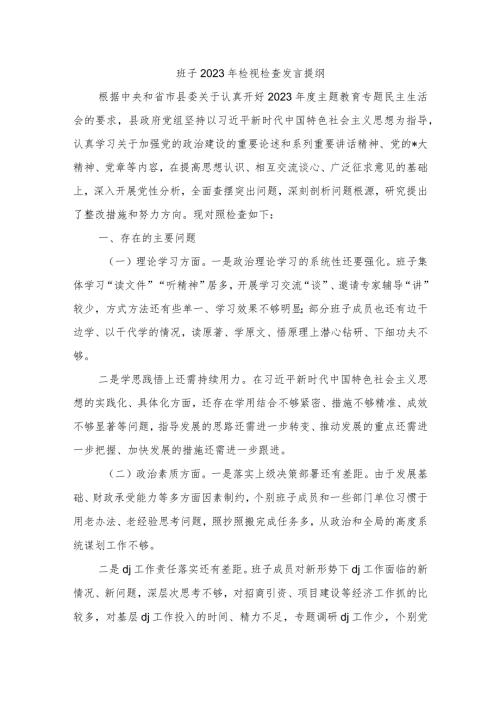 班子2023年检视检查发言提纲.docx