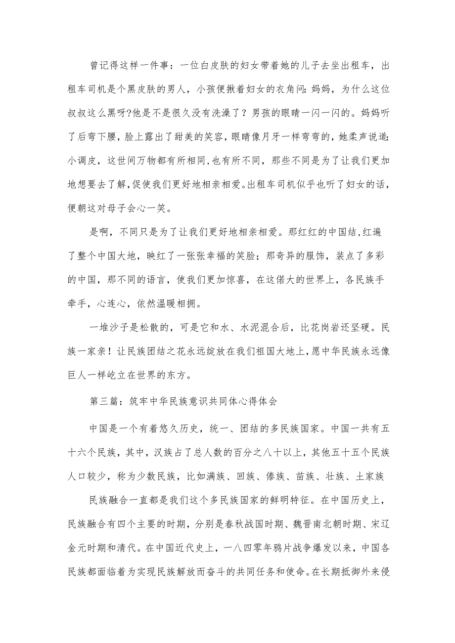 筑牢中华民族意识共同体心得体会有关六篇.docx_第3页