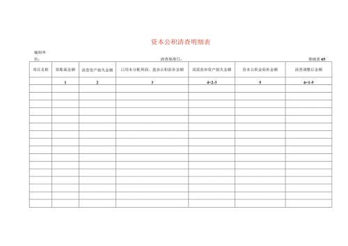 资本公积清查工作底稿明细表.docx