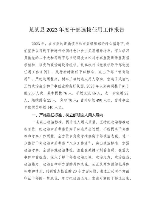 某某县2023干部选拔任用工作报告.docx