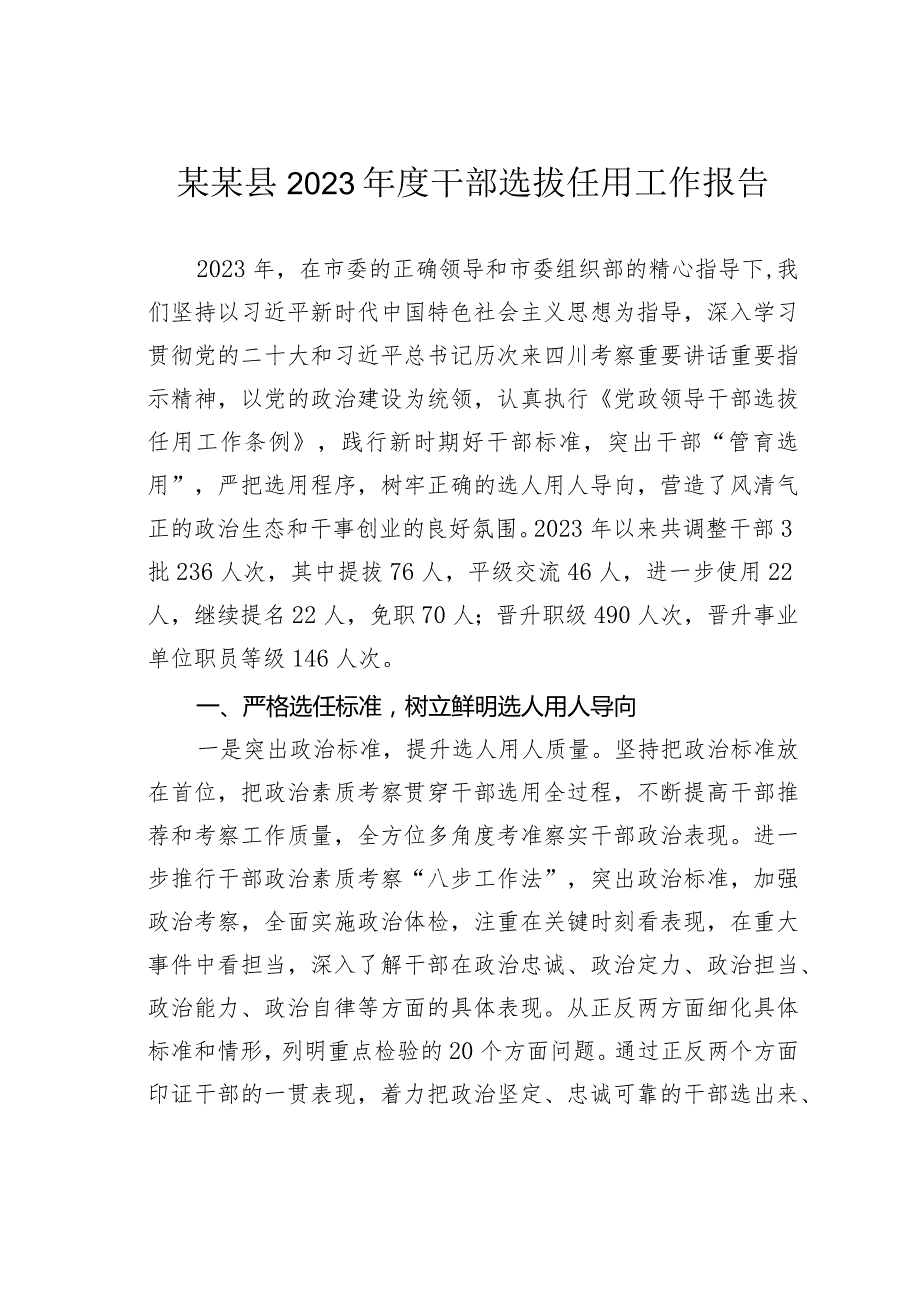 某某县2023干部选拔任用工作报告.docx_第1页