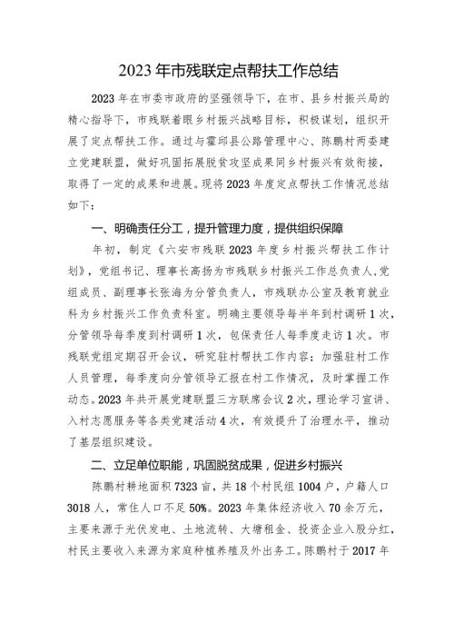 2023年市残联定点帮扶工作总结.docx