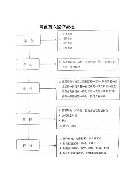胃管置入操作流程及操作评分标准.docx