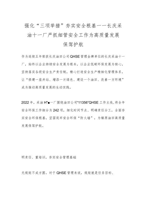 强化“三项举措”夯实安全根基——长庆采油十一厂严抓细管安全工作为高质量发展保驾护航.docx