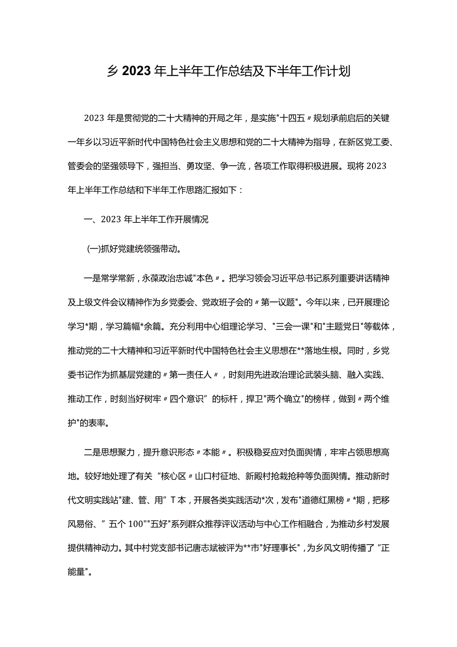 乡2023年上半年工作总结及下半年工作计划.docx_第1页