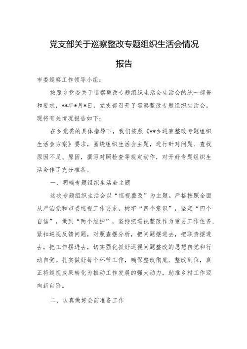 党支部关于巡察整改专题组织生活会情况报告.docx