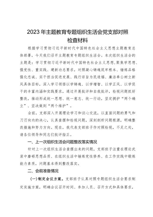 2023年主题教育专题组织生活会党支部对照检查材料.docx