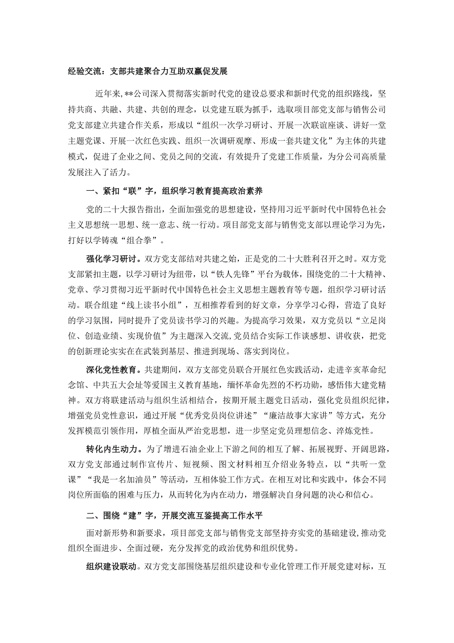 经验交流：支部共建聚合力 互助双赢促发展.docx_第1页