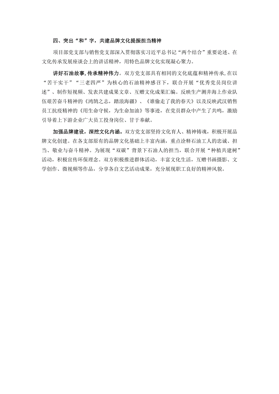 经验交流：支部共建聚合力 互助双赢促发展.docx_第3页