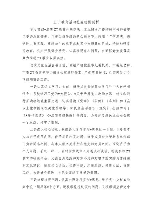 班子教育活动检查检视剖析.docx