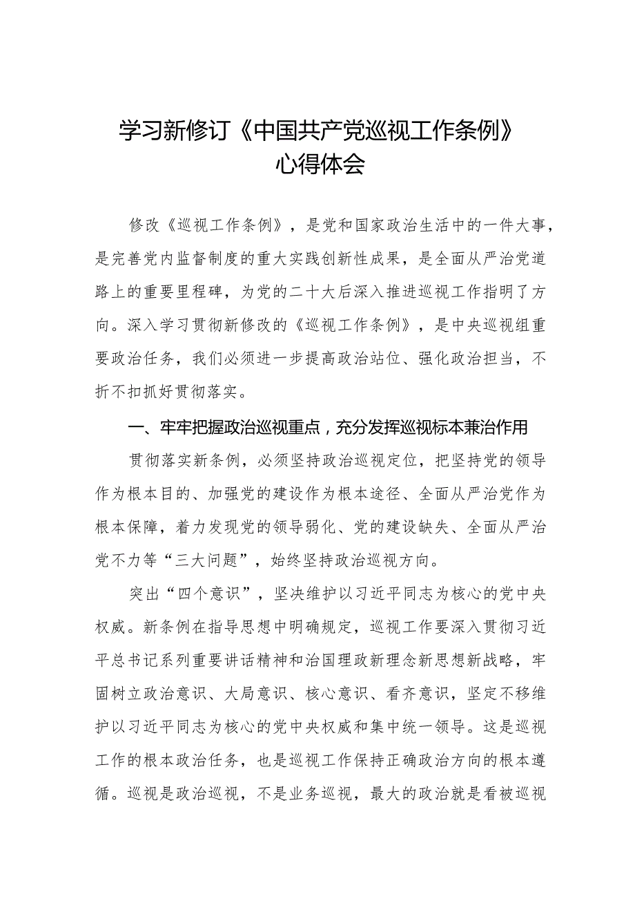 2024版新修订《中国共产党巡视工作条例》学习体会研讨发言稿五篇.docx_第1页