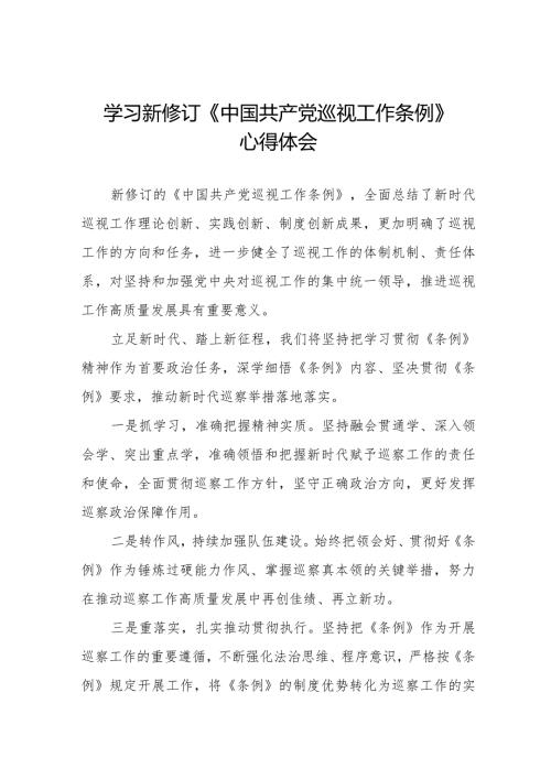 2024新修订中国共产党巡视工作条例》心得体会精品范文11篇.docx