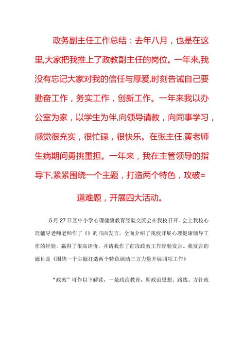 政务副主任工作总结.docx