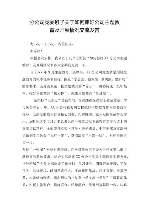 分公司党委班子关于如何抓好公司主题教育及开展情况交流发言.docx