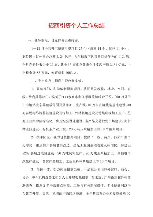 招商引资个人工作总结(29).docx