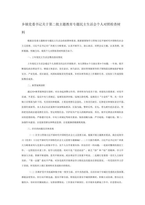 乡镇党委书记关于第二批主题教育专题民主生活会个人对照检查材料.docx