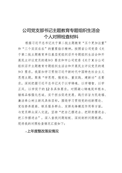 公司党支部书记主题教育专题组织生活会个人对照检查材料(1).docx