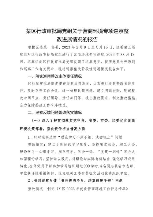 某区行政审批局党组关于营商环境专项巡察整改进展情况的报告.docx