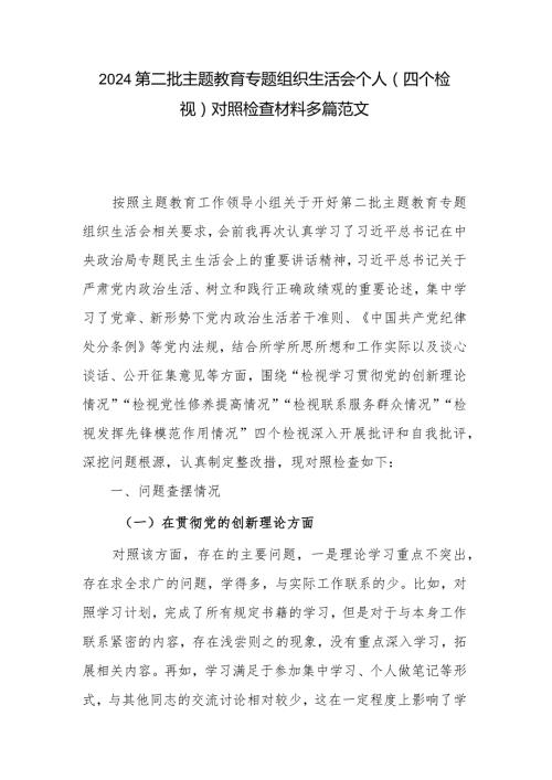 2024第二批主题教育专题组织生活会个人（四个检视）对照检查材料多篇范文.docx
