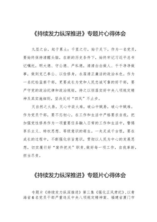 十四篇电视专题片《持续发力纵深推进》观后感.docx