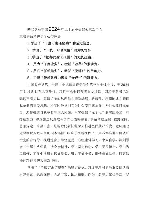 （2篇）2024年二十中央纪委三次全会精神及重要讲话精神专题研讨发言心得体会.docx