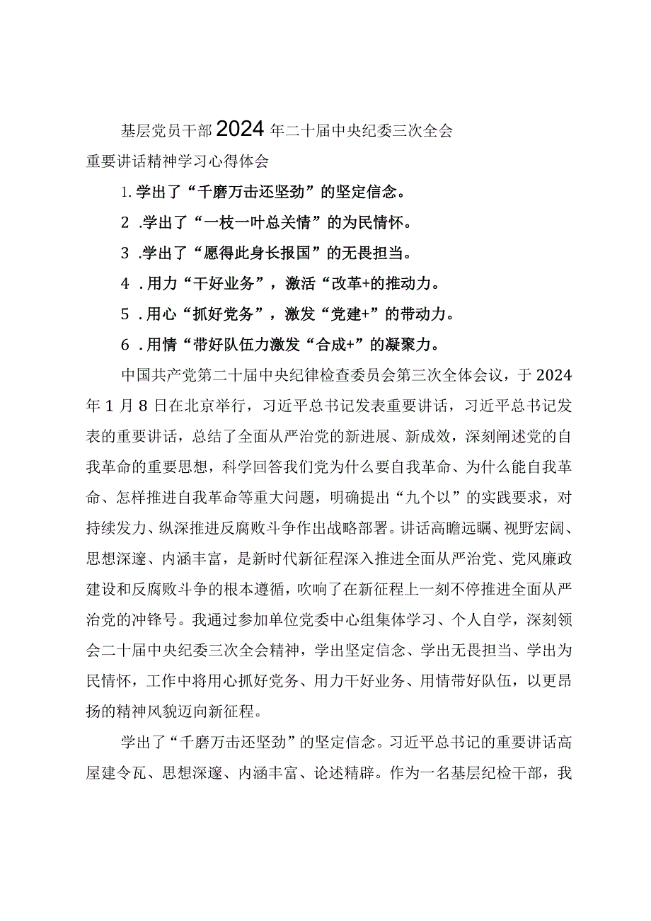（2篇）2024年二十中央纪委三次全会精神及重要讲话精神专题研讨发言心得体会.docx_第1页