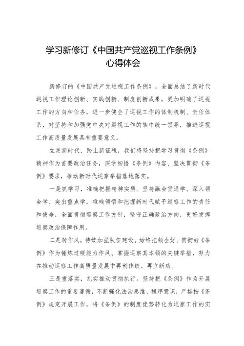 学习新修订《中国共产党巡视工作条例2024版》心得体会14篇.docx