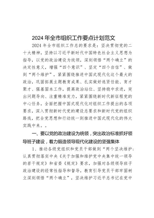 2024年市组织工作要点计划.docx