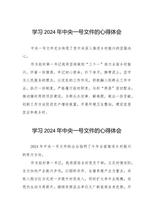 驻村干部学习2024年中央一号文件的心得体会22篇.docx