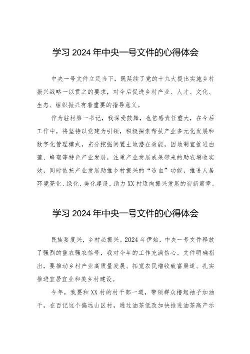 驻村干部关于学习中共中央 国务院关于学习运用“千村示范、万村整治”工程经验有力有效推进乡村全面振兴的意见心得体会十四篇.docx