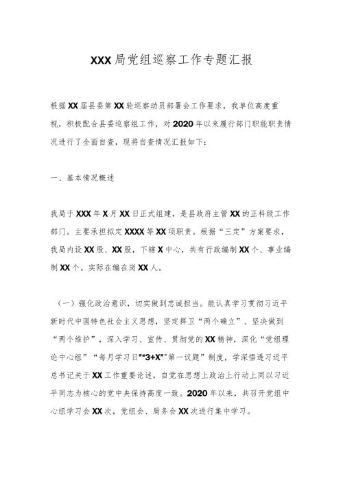 XXX局党组巡察工作专题汇报.docx