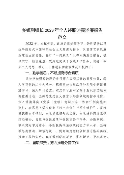 2023年个人述职述责述廉报告工作总结汇报.docx