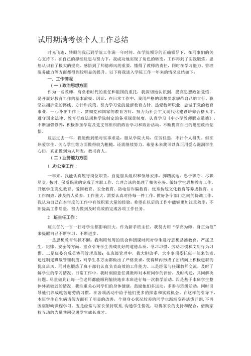 试用期满考核个人工作总结.docx