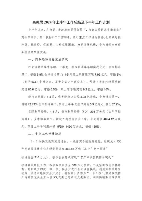 商务局2024年上半年工作总结及下半年工作计划.docx