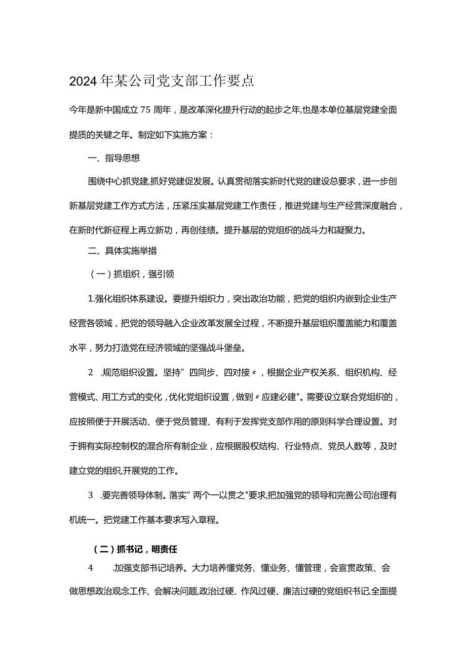 2024年某公司党支部工作要点.docx_第1页