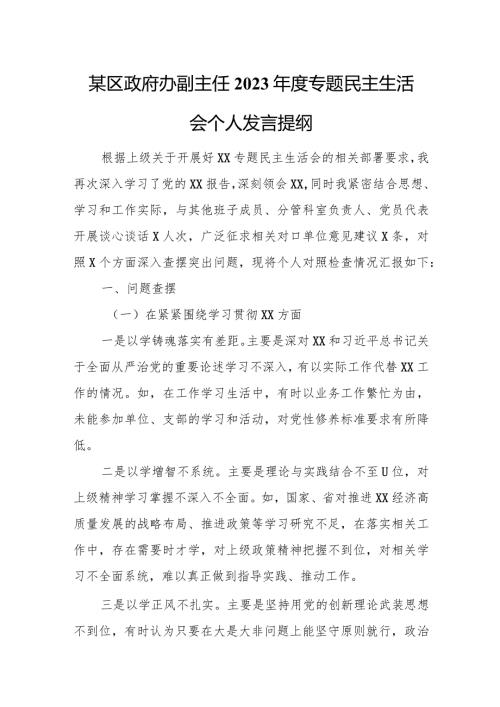 区政府办副主任2023专题民主生活会个人发言提纲.docx