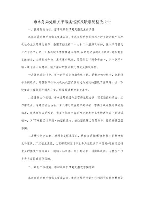 市水务局党组关于落实巡察反馈意见整改报告.docx