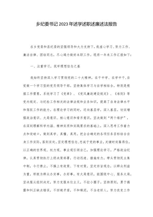 乡纪委书记2023年述学述职述廉述法报告.docx
